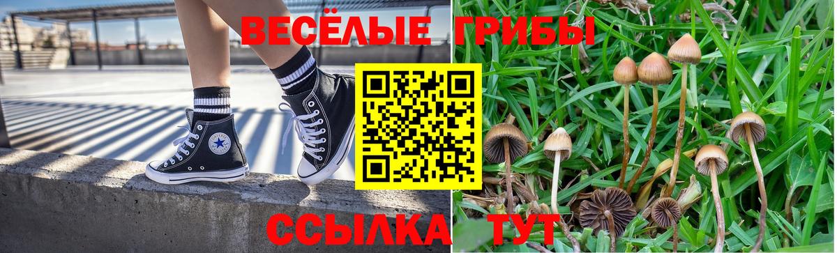 Псилоцибиновые грибы GOLDEN TEACHER Новотроицк