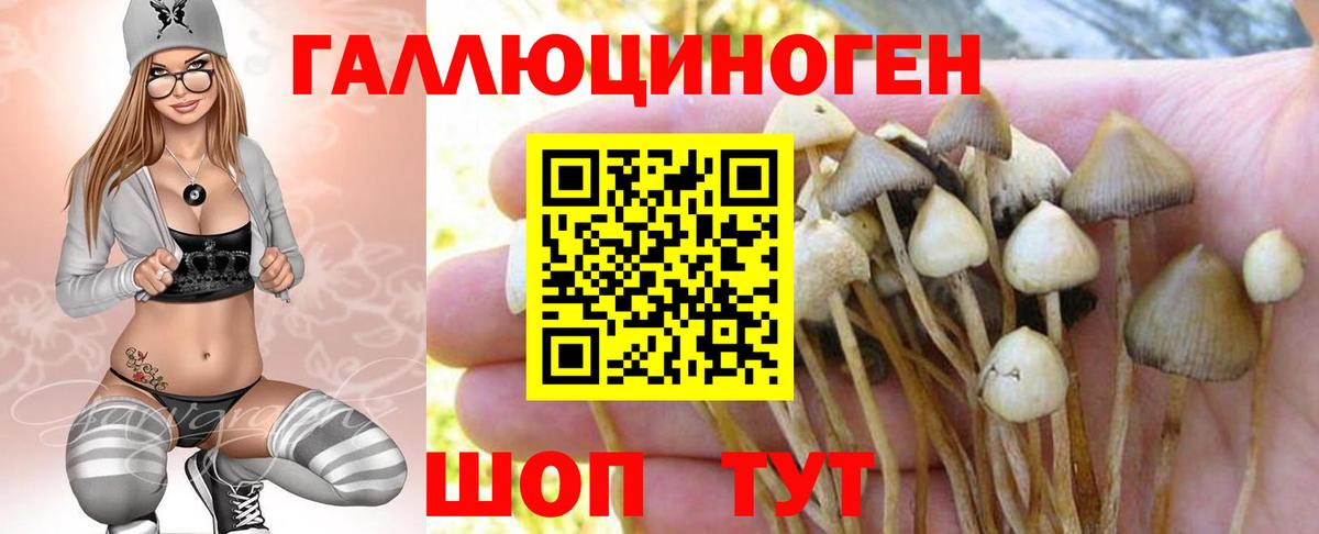 Новотроицк  Псилоцибиновые грибы Cubensis  Вход с VPN 